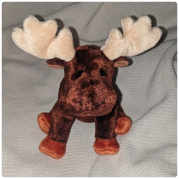 Ty | Toys | 9th Generation Ty Animal Beanie Baby Zeus The Moose See